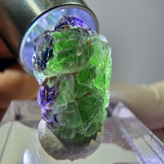 Cube de fluorite fantôme, zonal, spécimen de tourmaline Schorl, Erongo, Namibie, 18 x 12 x 12 mm 