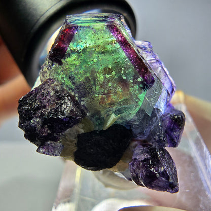 Cubes de fluorite fantôme colorés hexagonaux, tourmaline Schorl Erongo, Namibie 27 x 25 x 20 mm 