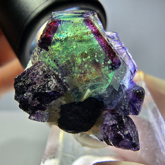Cubes de fluorite fantôme colorés hexagonaux, tourmaline Schorl Erongo, Namibie 27 x 25 x 20 mm 