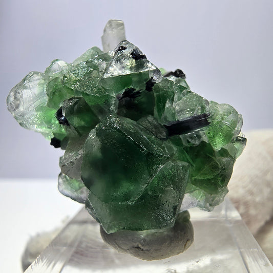 Spécimen de fluorite fantôme, tourmaline Schorl et quartz fumé, Erongo, Namibie, 31 x 25 x 17 mm 