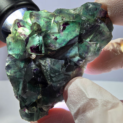 Spécimen de cube de fluorite fantôme, parqueté vert violet Okorusu, Namibie 64*41*19 mm 
