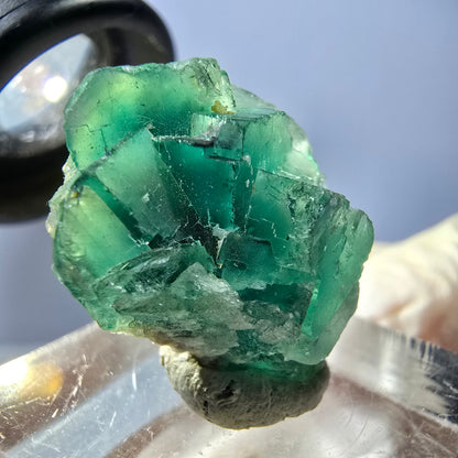 Seltene Phantom Fluorit Würfel Stufe, grün Okorusu, Namibia 22*21*13mm
