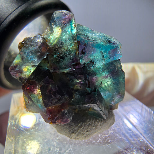 Spécimen de cube de fluorite fantôme, vert violet, Okorusu, Namibie, 20 x 19 x 15 mm 
