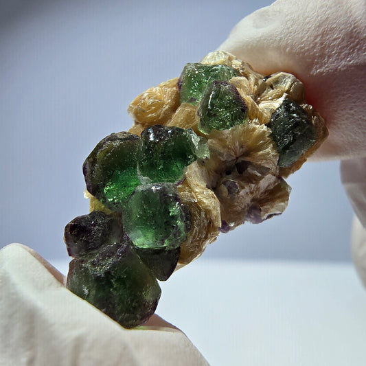 Cube de fluorite fantôme, zonal, spécimen de muscovite, Erongo, Namibie, 28 x 16 x 1 mm 