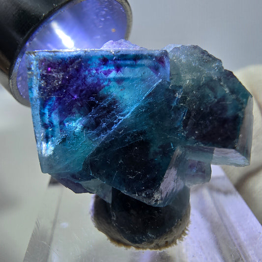Spécimen de cube de fluorite fantôme, zonal – Nouvelle découverte ! Okorusu, Namibie, 25 x 22 x 10 mm 