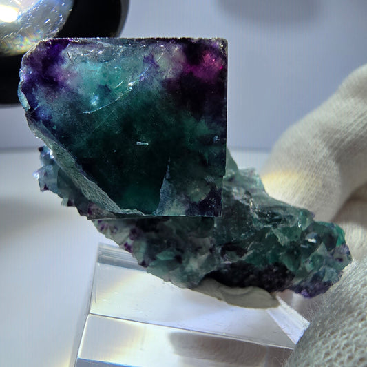 Seltene Phantom Fluorit Würfel Stufe zonal grün lila Okorusu, Namibia 55*26*27mm