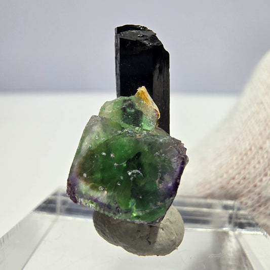 Cube de fluorite fantôme, spécimen de tourmaline schol moscovite, Erongo, Namibie, 19 x 11 x 10 mm 
