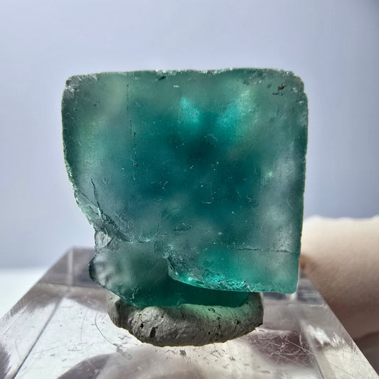 Cube de fluorite fantôme transparente parquetée, vert Okorusu, Namibie 20 x 17 x 13 mm 