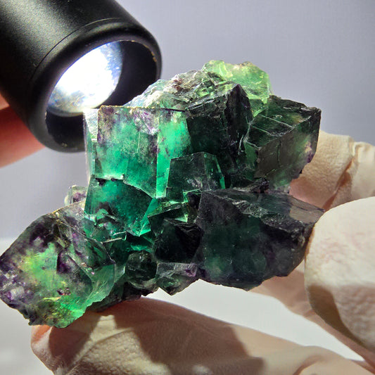 Spécimen de cube de fluorite fantôme, parqueté vert violet Okorusu, Namibie 51*39*24 mm 