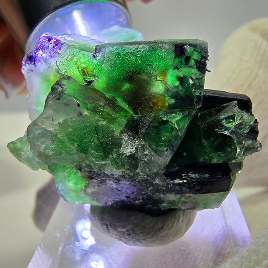 Cube de fluorite fantôme zonal, spécimen de tourmaline Schorl, Erongo, Namibie, 35 x 25 x 22 mm 