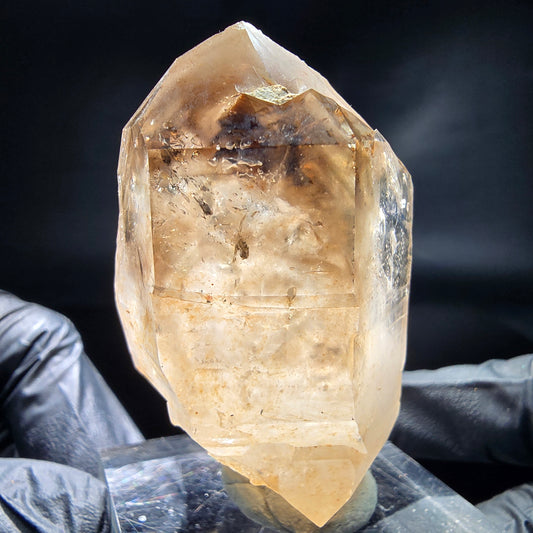 Enhydro Phantom Smoky Quartz Sceptre Tip 2x Bubble Goboboseb, Namibie 64*37*30mm 
