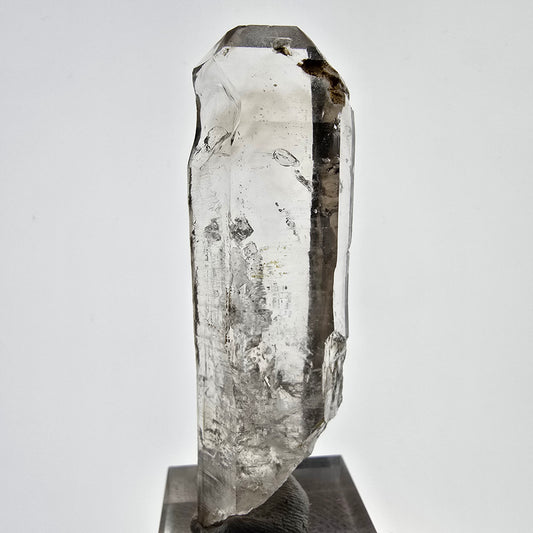 Sceptre squelette en quartz fumé Enhydro, 1 pochette bulle Saint-Valentin, Namibie 65 x 20 x 14 mm 