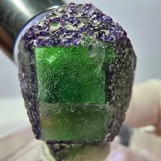 Cube hexagonal de fluorite fantôme, muscovite, tourmaline Schörl, Erongo, Namibie, 26 x 21 x 16 mm 