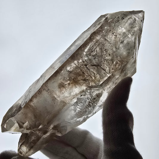 XL Skeleton Phantom Smoky Quartz DT Sceptre Valentine Pocket, Namibie 183*56*44mm 