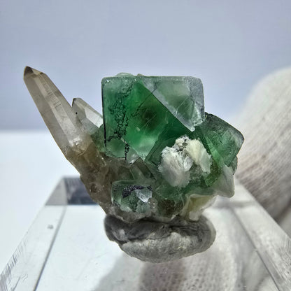 Cube de fluorite fantôme zonal, quartz fumé, spécimen de muscovite, Erongo, Namibie, 19 x 15 x 12 mm 