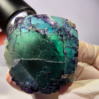 Spécimen de cube de fluorite fantôme, parqueté, zonal Okorusu, Namibie 44*41*25 mm 