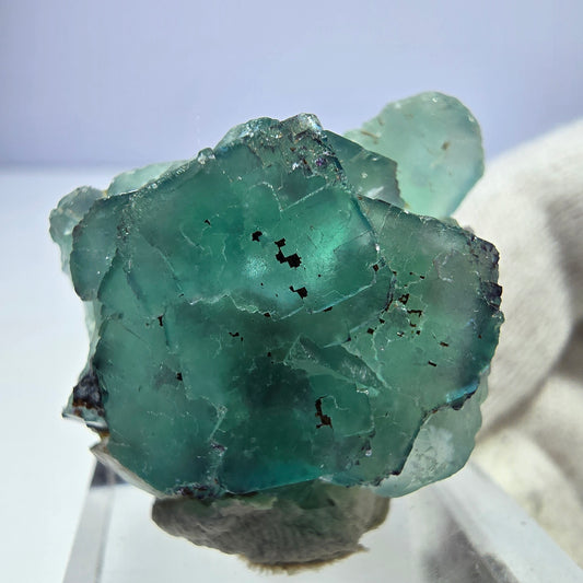 Spécimen de cube de fluorite fantôme parqueté zonal Okorusu, Namibie 34*27*19mm 