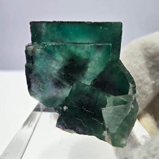 Spécimen zonal de cube de fluorite fantôme, vert violet, Okorusu, Namibie, 30 x 28 x 24 mm 