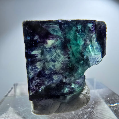 Spécimen rare de cube de fluorite fantôme, vert zonal et violet, Okorusu, Namibie, 23 x 18 x 14 mm 
