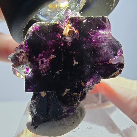 Spécimen de cube de fluorite fantôme, parqueté vert violet Okorusu, Namibie 30*24*21 mm 