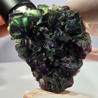 Spécimen de cube de fluorite fantôme parqueté vert violet Okorusu, Namibie 52*42*16 mm 