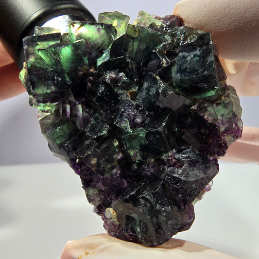 Spécimen de cube de fluorite fantôme parqueté vert violet Okorusu, Namibie 52*42*16 mm 