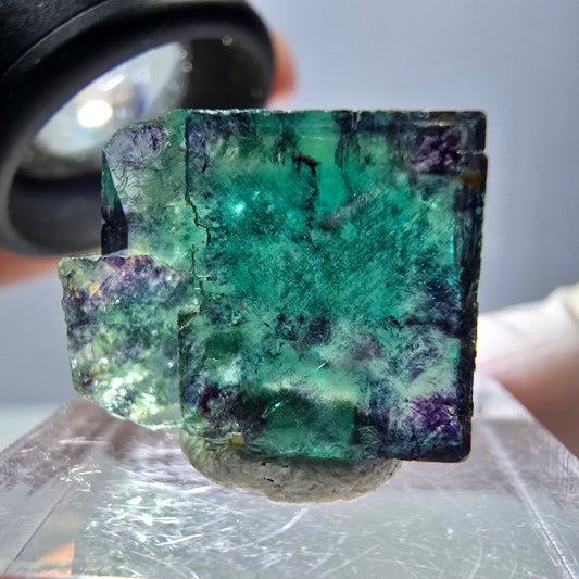 Phantom Fluorit Würfel Stufe, parkettiert grün lila Okorusu, Namibia 18*15*13mm