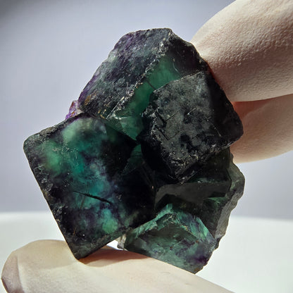 Spécimen de cube de fluorite fantôme parqueté vert violet Okorusu, Namibie 44*35*21mm 