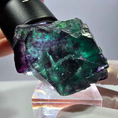 Seltene Fluorit Würfel Stufe, grün lila Okorusu, Namibia 41*32*26mm
