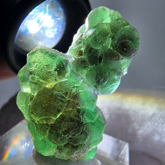 Cube de fluorite fantôme, spécimen de muscovite, Erongo, Namibie, 30 x 19 x 13 mm 