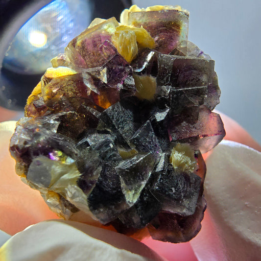 Cubes de fluorite fantôme colorés, spécimen de muscovite, Erongo, Namibie, 28 x 20 x 13 mm 