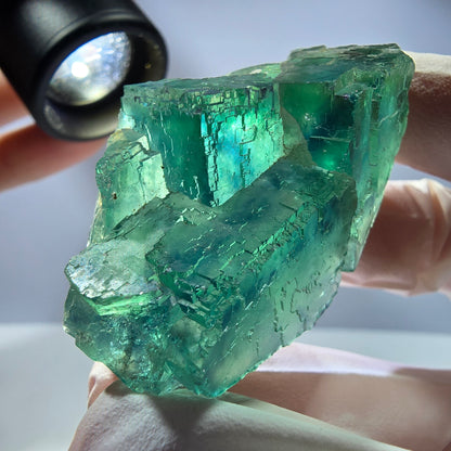Spécimen de cube de fluorite fantôme transparente, vert parqueté, Okorusu, Namibie, 50 x 34 x 21 mm 
