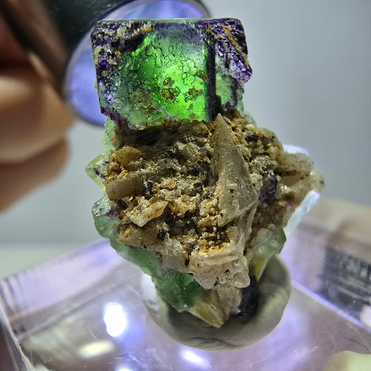 Cube de fluorite fantôme, zonal, muscovite, spécimen de tourmaline Schorl, Erongo, Namibie, 24 x 17 x 13 mm 