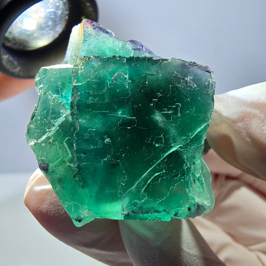 Spécimen de cube de fluorite fantôme transparente, vert parqueté, Okorusu, Namibie, 53 x 40 x 30 mm 