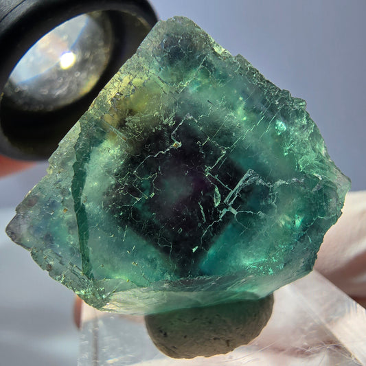 Cristal de fluorite fantôme transparent, cube vert-violet, Okorusu, Namibie, 24 x 24 x 20 mm 