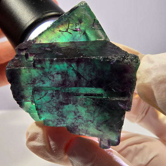 Spécimen de cube de fluorite fantôme, parqueté vert violet Okorusu, Namibie 41*41*25 mm 