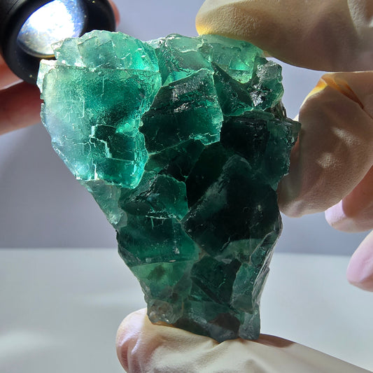 Rare spécimen de cube de fluorite fantôme, parqueté vert Okorusu, Namibie, 61 x 48 x 24 mm 