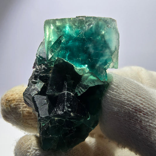 Rare spécimen de cube de fluorite fantôme, parqueté vert Okorusu, Namibie, 44 x 31 x 17 mm 
