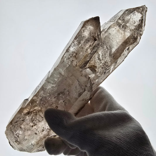 Sceptre XL Enhydro Skeleton Smoky Quartz DT, 4x Bubble Valentine Pocket, Namibie 233 x 54 x 47 mm 