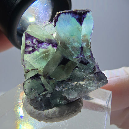 Phantom Fluorit Würfel Stufe, parkettiert, zonal Okorusu, Namibia 28*24*18mm