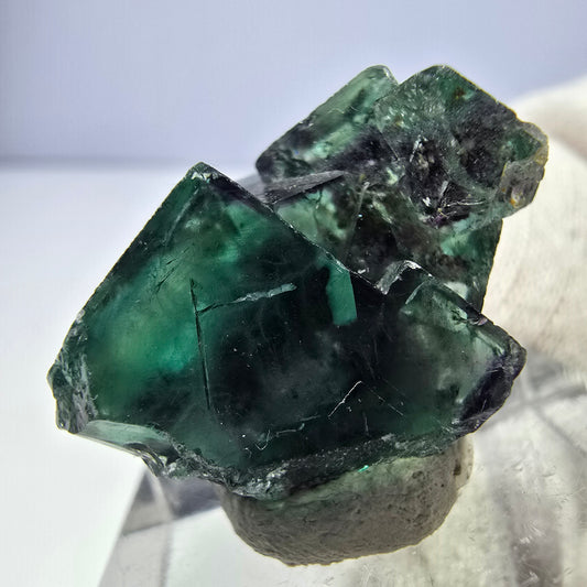 Spécimen rare de cube de fluorite fantôme, vert zonal et violet, Okorusu, Namibie, 24 x 16 x 15 mm 