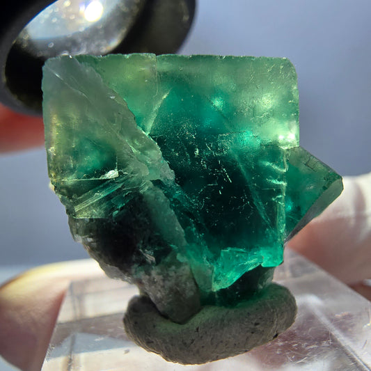 Spécimen de cube de fluorite fantôme, vert violet, Okorusu, Namibie, 27 x 22 x 15 mm 