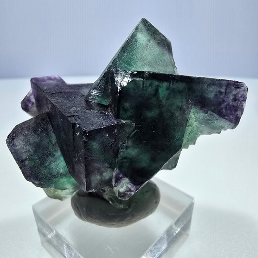 Klare Phantom Fluorit Würfel Stufe zonal grün lila Okorusu, Namibia 51*33*33mm