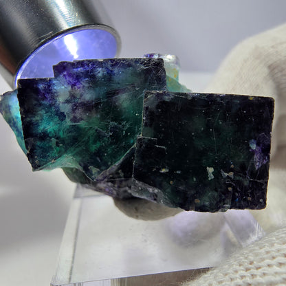 Rare spécimen de cube de fluorite fantôme, vert-violet zonal, Okorusu, Namibie, 39 x 24 x 16 mm 