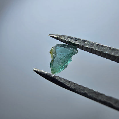 Cristal de tourmaline verdélite rare, vert Minas Gerais, Brésil #7979