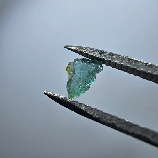 Cristal de tourmaline verdélite rare, vert Minas Gerais, Brésil #7979