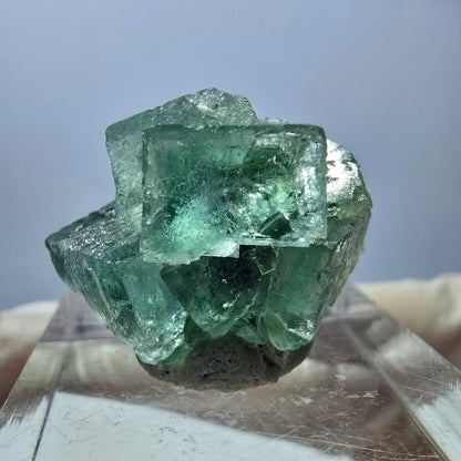 Phantom Fluorit Würfel Stufe, grün parkettiert Okorusu, Namibia 23*20*16mm
