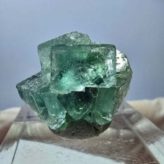 Phantom Fluorit Würfel Stufe, grün parkettiert Okorusu, Namibia 23*20*16mm