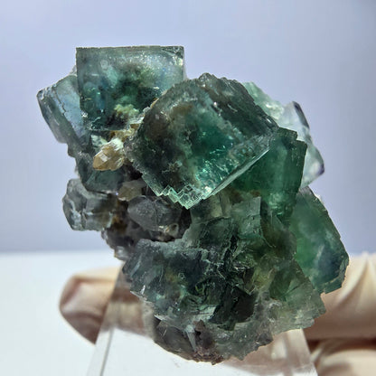Phantom Fluorit Würfel, parkettiert, Quarz Stufe Okorusu, Namibia 42*30*26mm