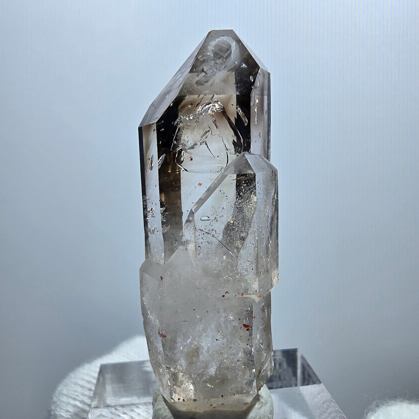 Sceptre Enhydro Phantom Smoky Quartz DT, 2x Bubble Goboboseb, Namibie 42 x 12 x 13 mm 